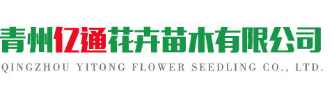 山東帝馬仕酒業有限公司